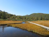 ニセコ神仙沼湿地 (10)